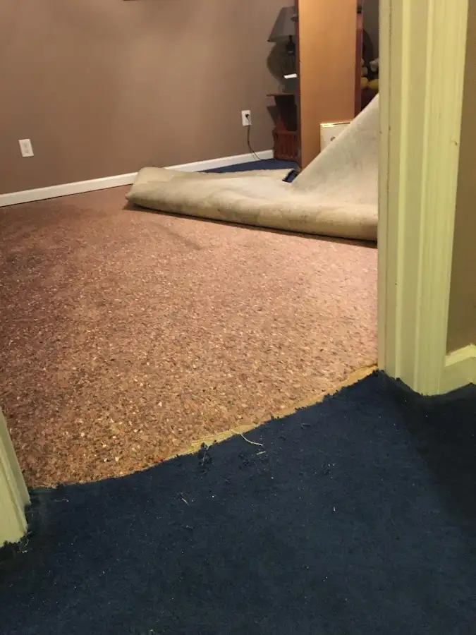 Carpet pad removal revealing water damage during Water Mitigation Services in Island Park