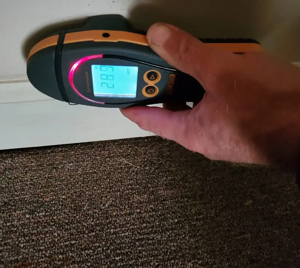 Moisture detection at baseboard during Mold Inspection & Testing in Island Park
